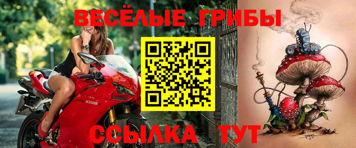 Галлюциногенные грибы GOLDEN TEACHER  Вход с VPN  Котельники 